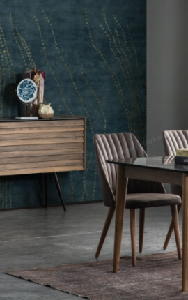 AKDERE İKİNCİ EL EŞYA ALANLAR